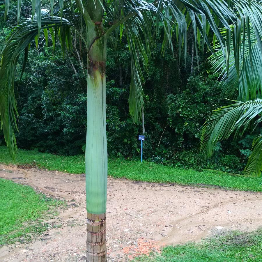 Suites Ubatuba Praia Da Lagoinha المظهر الخارجي الصورة